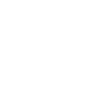 safak webdesign logo weiß groß