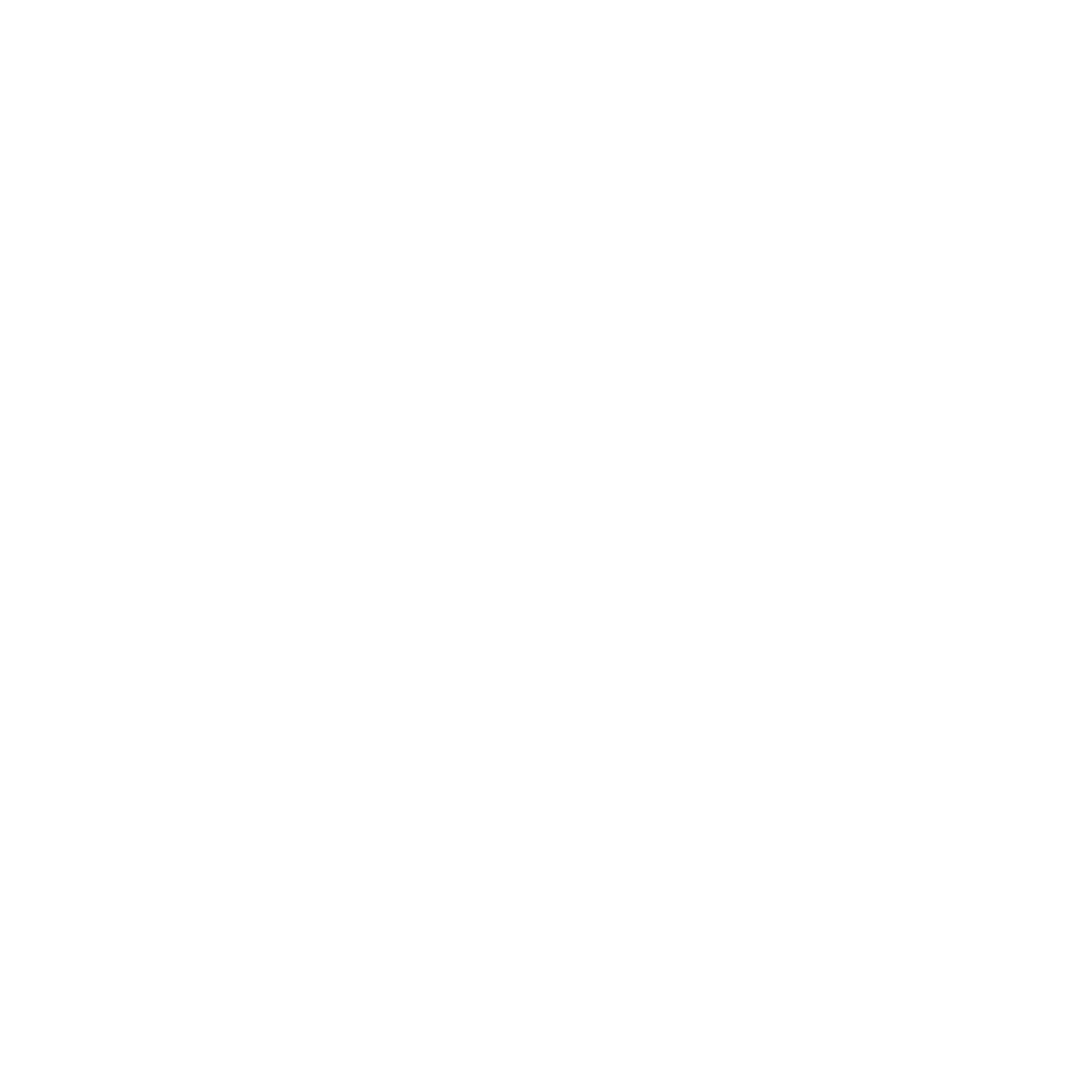 safak webdesign logo weiß groß
